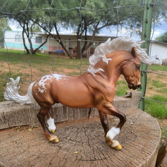 2021 premier club Braveheart - Picture 5 of 7